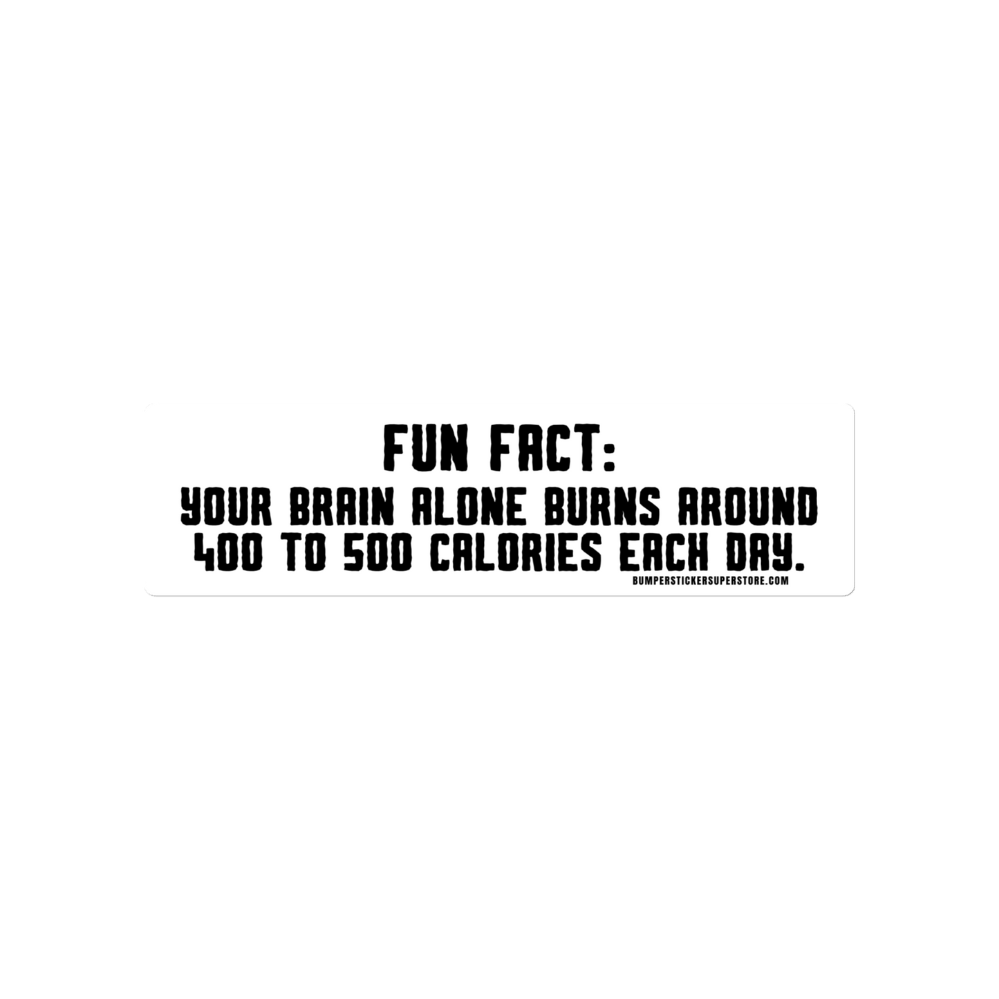 Fun Fact: Your brain burns around 400 to 500 calories a day. Viral Bumper Sticker - Bumper Sticker Superstore - Funny Bumper Sticker - LIfestyle Apparel Brands